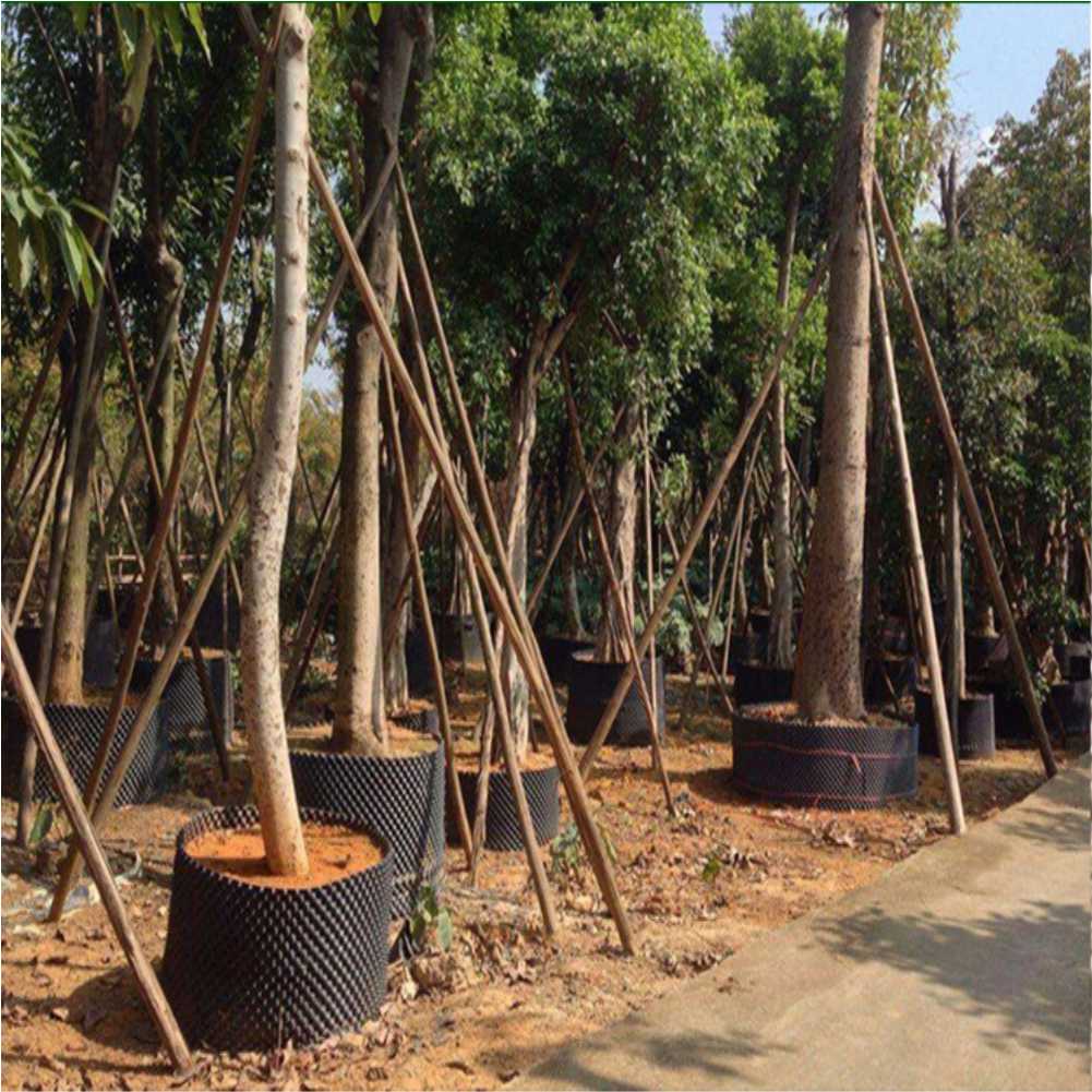 Alat Transplantasi Tanaman Bon - Garden Tools ulasan dan harga
